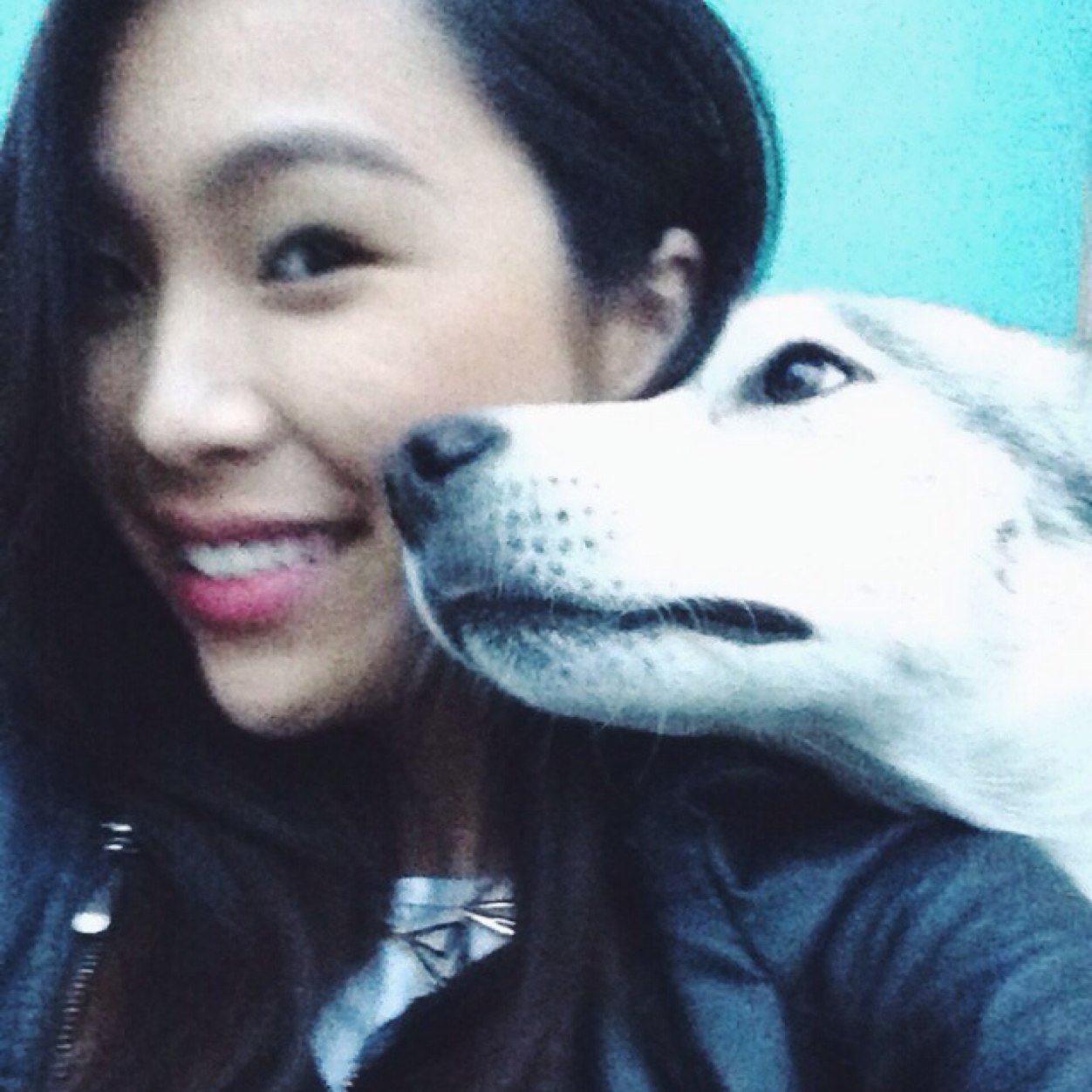 viviannetwerkit's profile picture. 