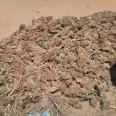 Sow2000Laye's profile picture. 