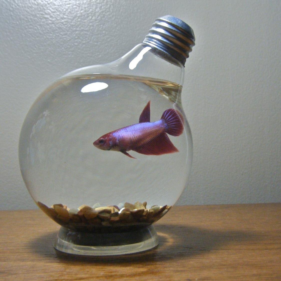 From business moves and ideas in the music industry to alternative music. Share it in the Fish Bowl.