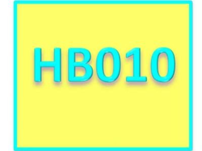 HB010, HB ontmoetingen regio Rijnmond e.o., spelletjesmiddagen, initiatief door ouders