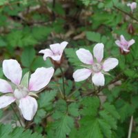 Hwang  Jb (@goodjb) 's Twitter Profile Photo