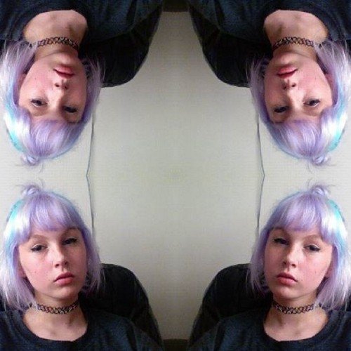 mushybiscuits Profile Picture