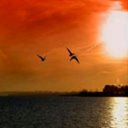 Michelle Hooker - @MichelleHooke13 - Twitter