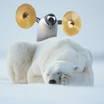 Phantomweeder's profile picture. Doonedangerousthingaday. 
Control weeds, protect your environment and look after each other.