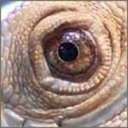 John Palacios - @JohnPal69914653 - Twitter