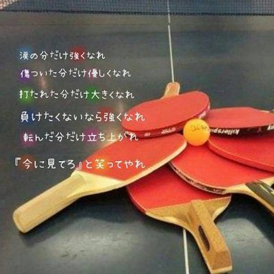 卓球部あるある Mame Kapi Twitter 卓球部あるある Mame Kapi Twitter