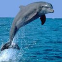 Gemma Jiménez - @MGemmaJC - Twitter