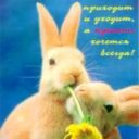 Craig Santos - @CraigSantos10 - Twitter