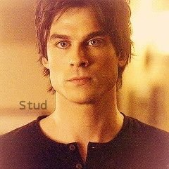 CrazedStud's profile picture. || I'm surrounded by idiots. ||