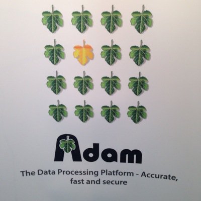 Data Migration, Data Cleansing, Data Enrichment, Response Handling, Bespoke Mailing.