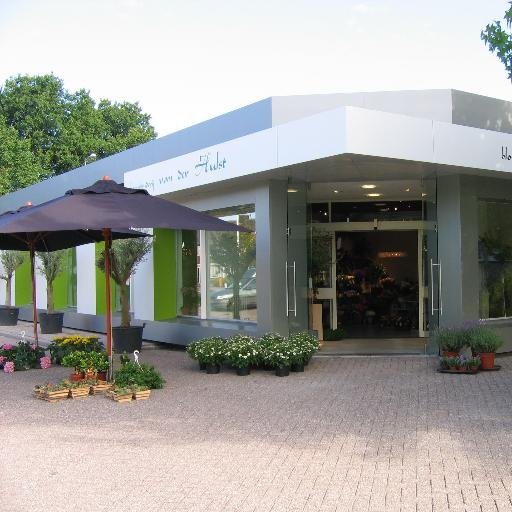 vdHulstbloemen's profile picture. Vivaldistraat 2 | Lisse | 0252 415 475 | bloemen | boeketten | bruidswerk | rouwarrangementen | plantenabonnementen | zijdebloemen | workshops | accessoires