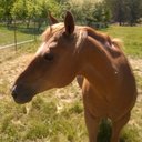 Brian Farber - @BrianFarber1 - Twitter