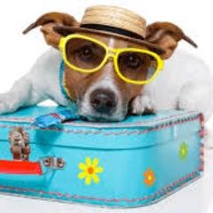 Pet Friendly Specialist- Travel Agent and Tour Operator offering travel with your pets. ABTA/ATOL/IATA bonded 0843 289 2235 Open 7 days til Late Book Today