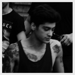 Follow @allinfavorzayn