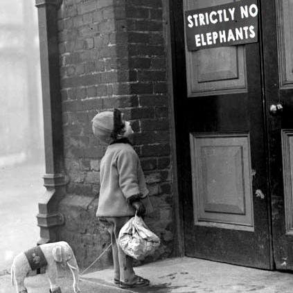 LarocheArnaud's profile picture. 