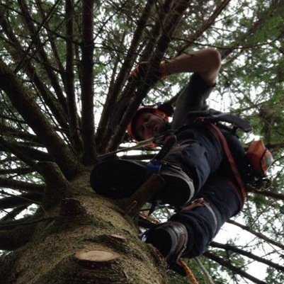 Arborist
