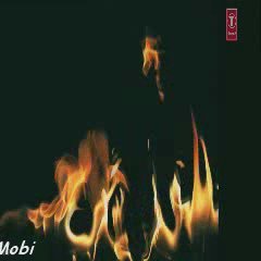 cricket lover