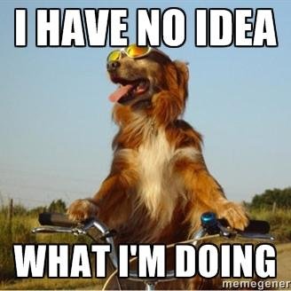 PedalateSuDenti's profile picture. Essere ciclisti a Roma. Bestemmiare codici della strada tra ipotetiche ciclabili, biciclette truccate e velleitarismo urbano.