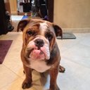 Greg Dolan - @gdolan8941 - Twitter