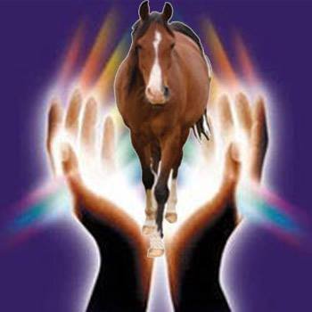 netjhu's profile picture.