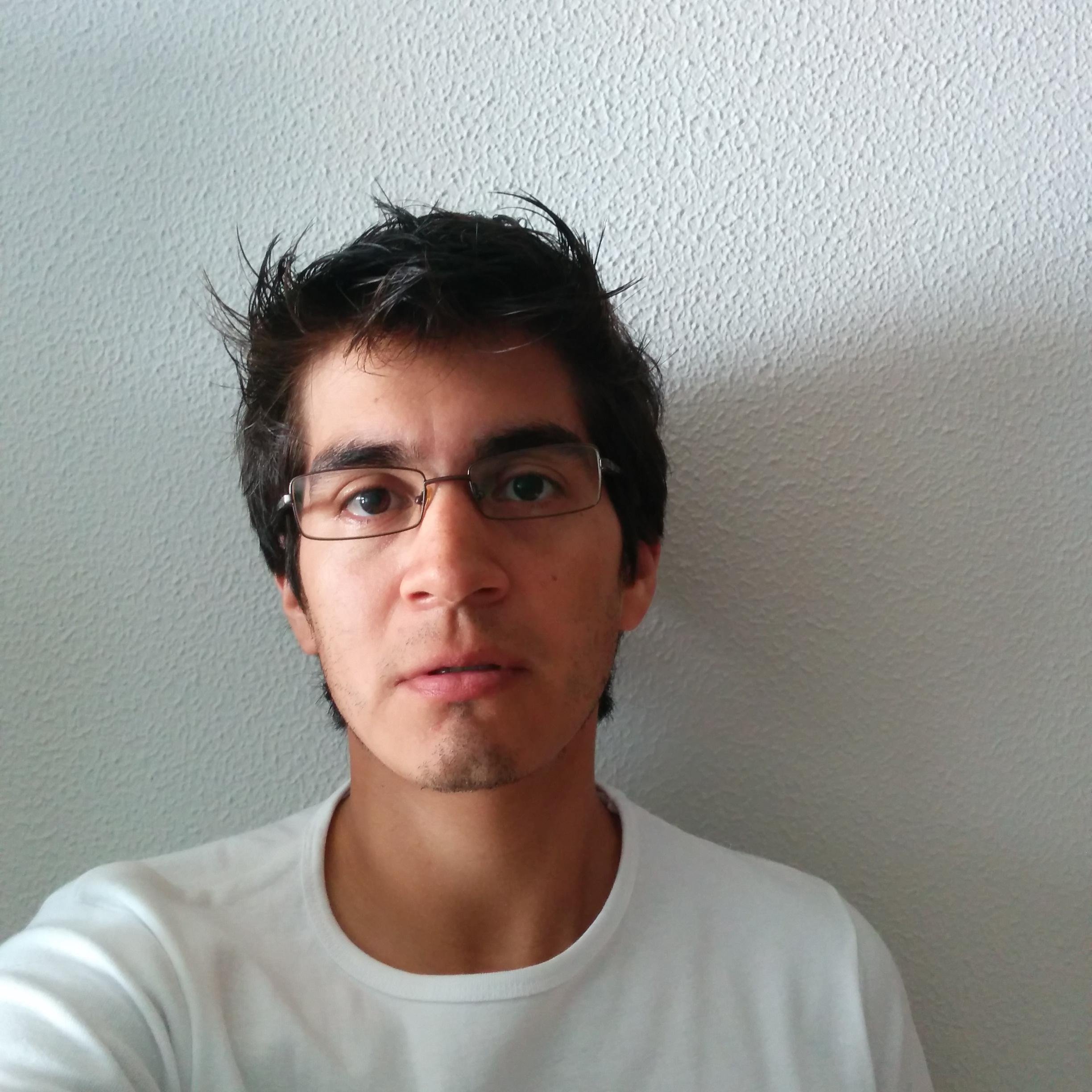 Programador