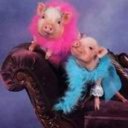 Brian Payton - @formlesreter191 - Twitter