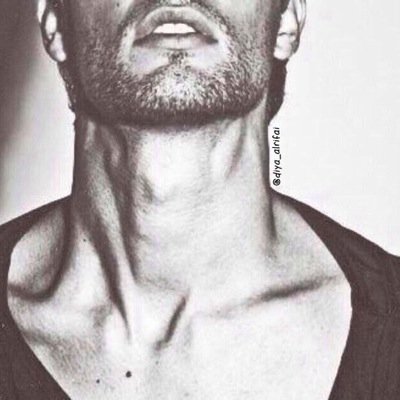 diyaalrifai's profile picture. 