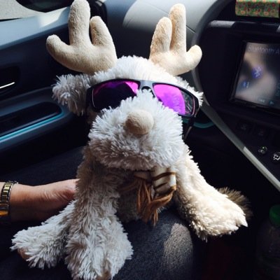 weifen9's profile picture. 31. This is my private account.