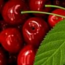 Pete Crist - @PeteCrist4 - Twitter