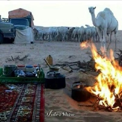 نعمتينن منهن ربي علي نعمة الاسلام وأني شمري