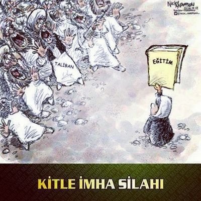 dogaltarim's profile picture. dogaltarım ürünleri ticaret meyve  sebze agriculture  vegetables  fruit