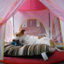 Faith Graham - @FFFfriend4eva - Twitter