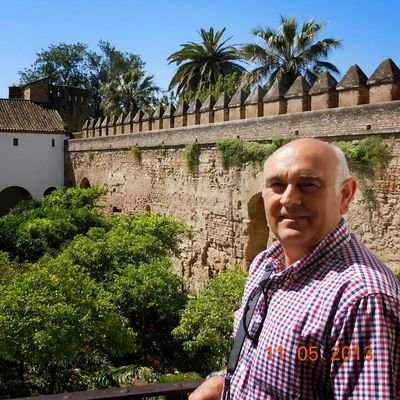 atorreslpz's profile picture. 