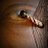 HorrorFly's profile image