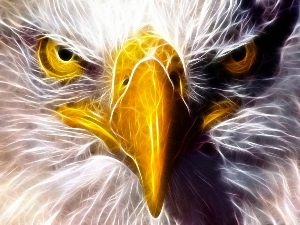 Eagle_booster's profile picture. Roosevelt ISD Athletic Booster