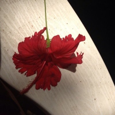 msramirez26's profile picture. 