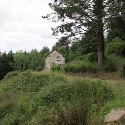 Geevaghboy's profile picture. 