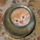 Curtis Jefferson - @anasasdi1988 - Twitter