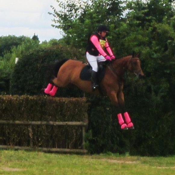 southfarmequest's profile picture. Amature event rider running a small DIY and breaking and schooling livery yard in wilts