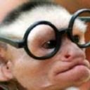 Daisy Norman - @DaisyNorman8 - Twitter