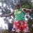 boizmkare's profile image