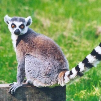 hontolim's profile picture. Work all day play all night :D Software engineer and proclaimed professional squid chef