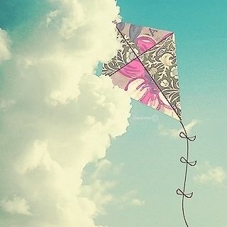butterfly_r1 Profile Picture