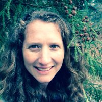 Ailene Ettinger (@ailenekane) 's Twitter Profile Photo