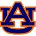 Randy Abbonizio (@anauburntiger) Twitter profile photo