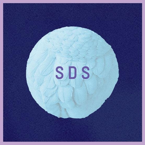 Saints Don't Sleep 2nd Birthday with Karizma, Daniel Wang, Arnaldo + Park Ranger + Residents - 12/09/2014
