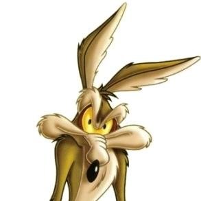 CoyoteTheHun's profile picture. “Always look on the bright side of life...”