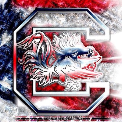 Love the lord, football, baseball, and basketball. I love the South Carolina Gamecocks.