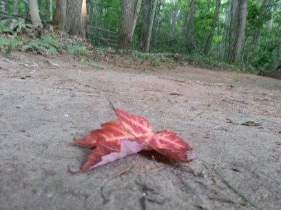 KidsTheseDays__'s profile picture. 