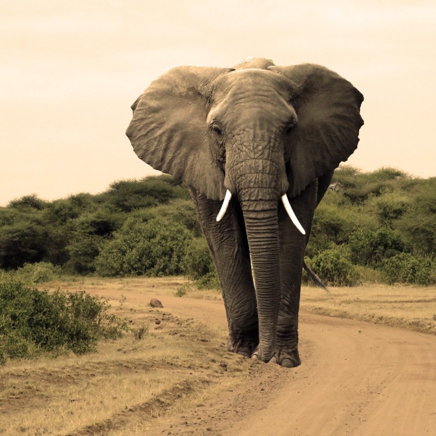 artist and travel photographer. Topics include nature, architecture, landscape and digital photography.